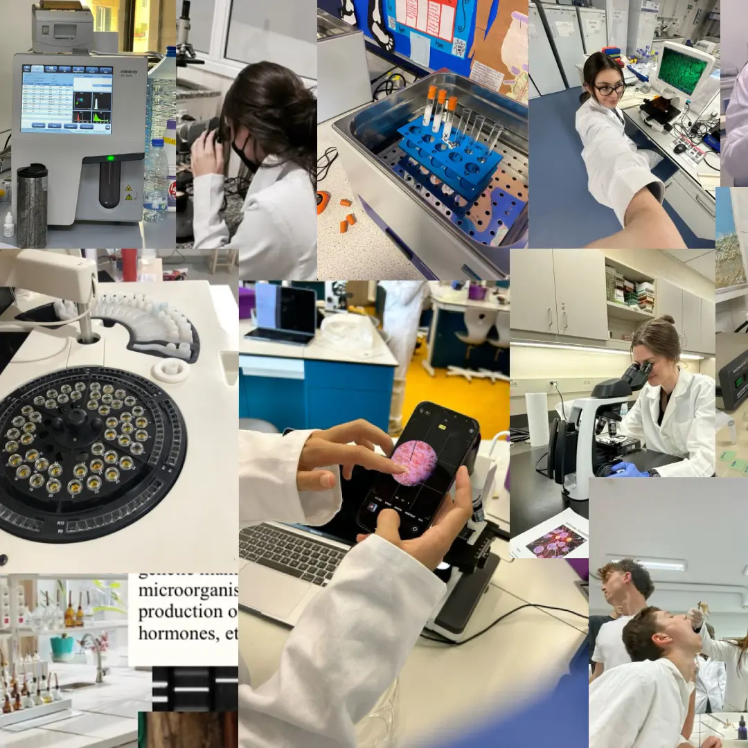 Image illustrant la biotechnologie